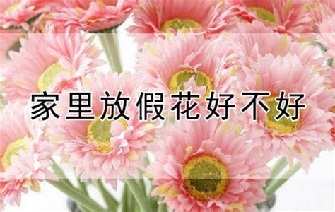 家裡不能放假花